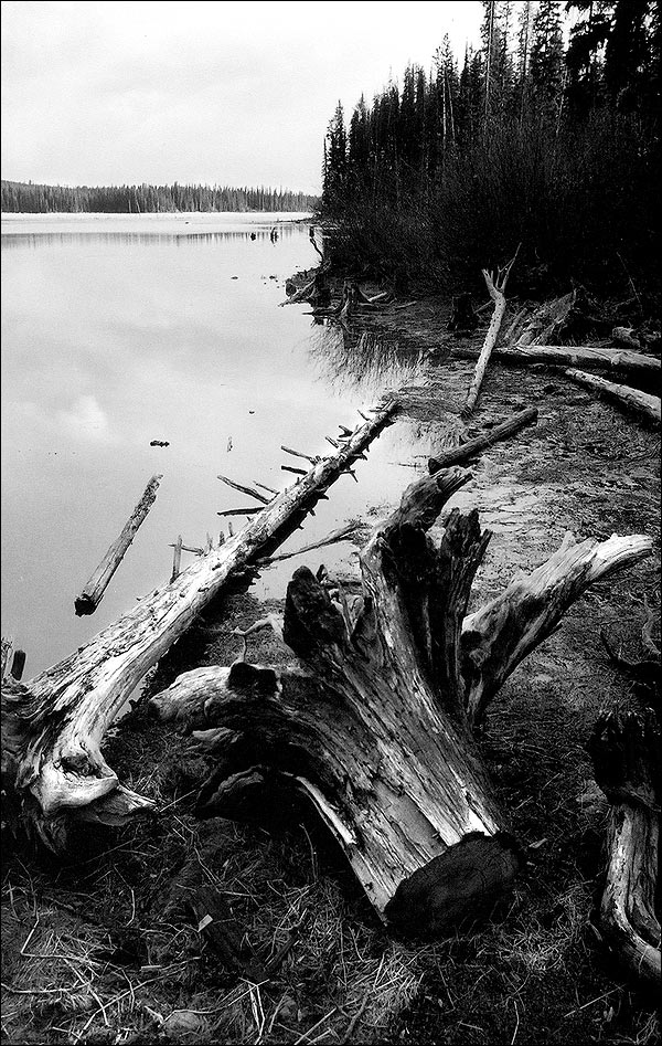 Canadian lake, black and white 35mm, taken by Brent Meheux with an Olympus OM2